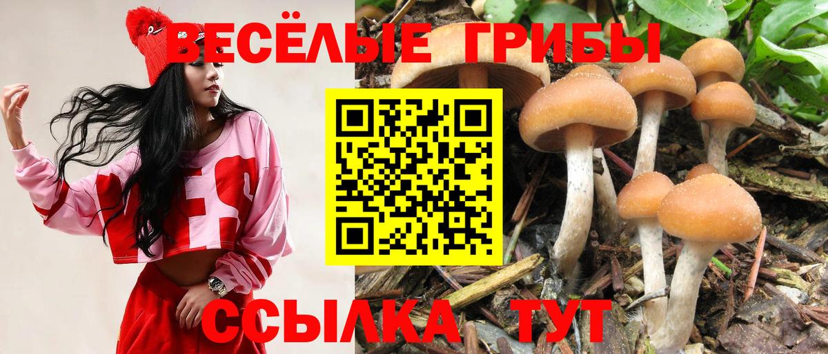 Галлюциногенные грибы Cubensis  Вход с VPN  Рубцовск 
